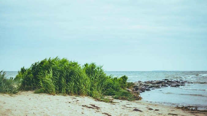 blog image
